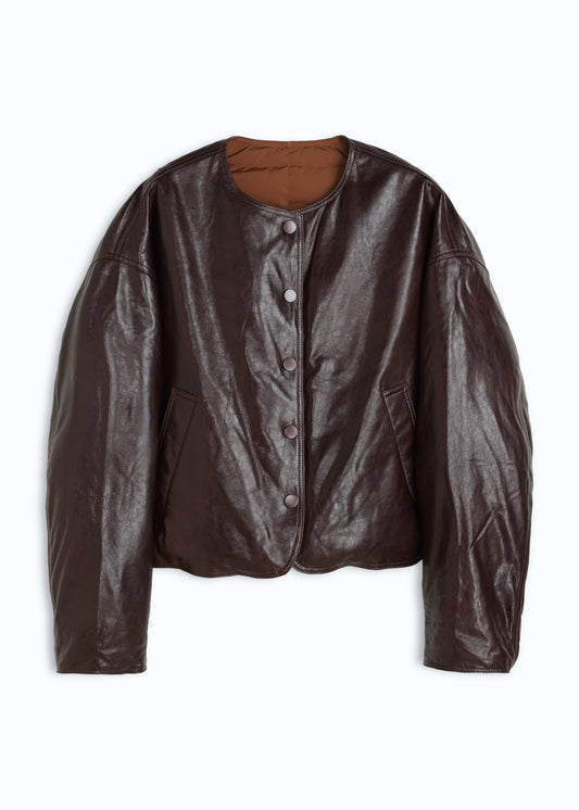 Cambia Reversible Bomber