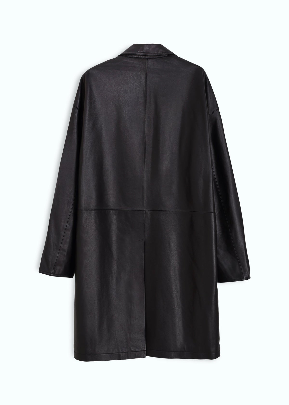 Brumale Leather Down Coat