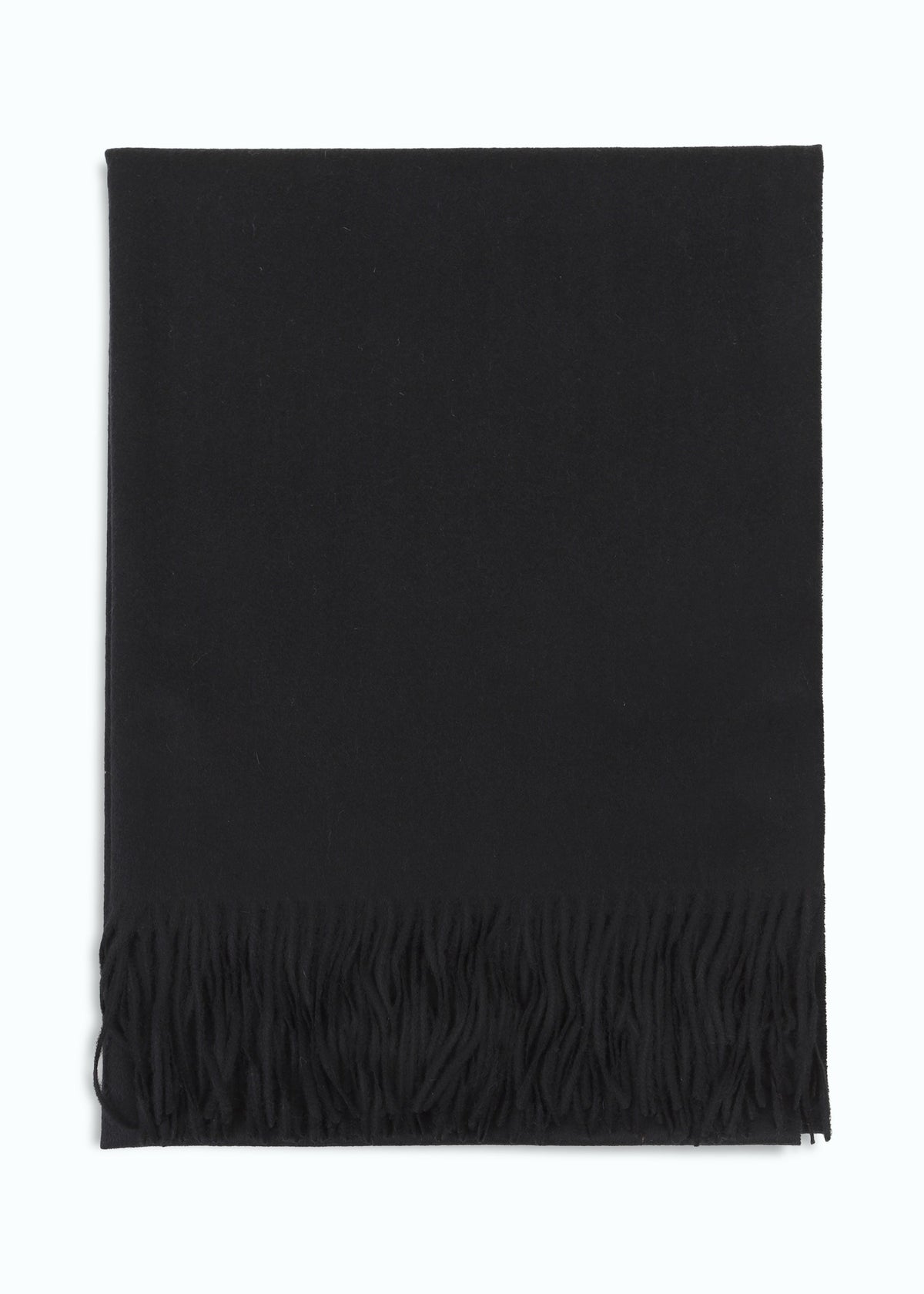 Araldico Cashmere Scarf