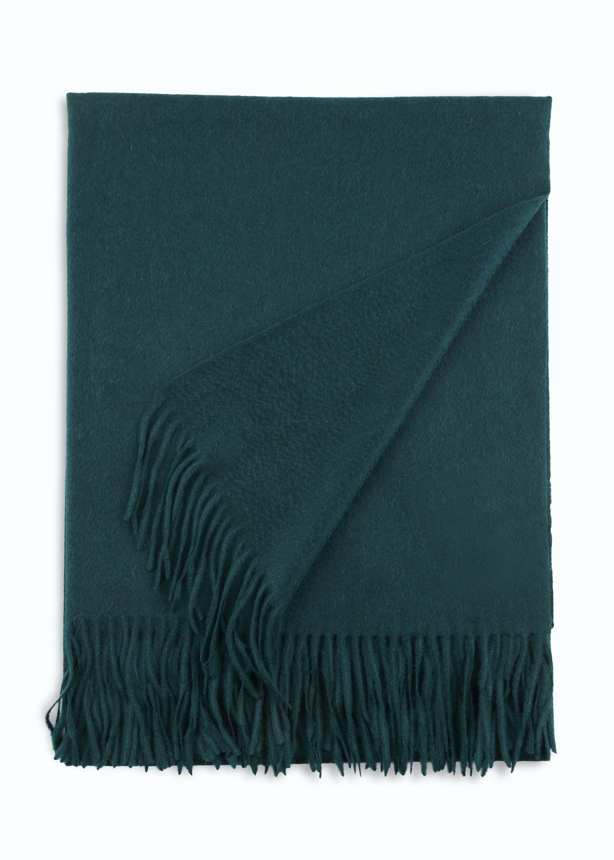 Araldico Cashmere Scarf